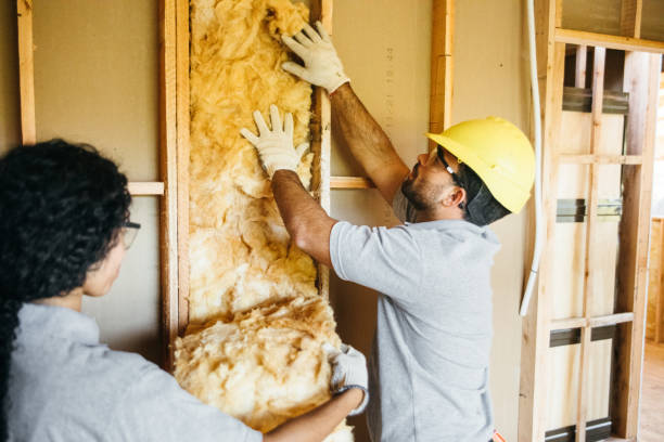 Best Home Insulation Services  in Magnet Cove, AR